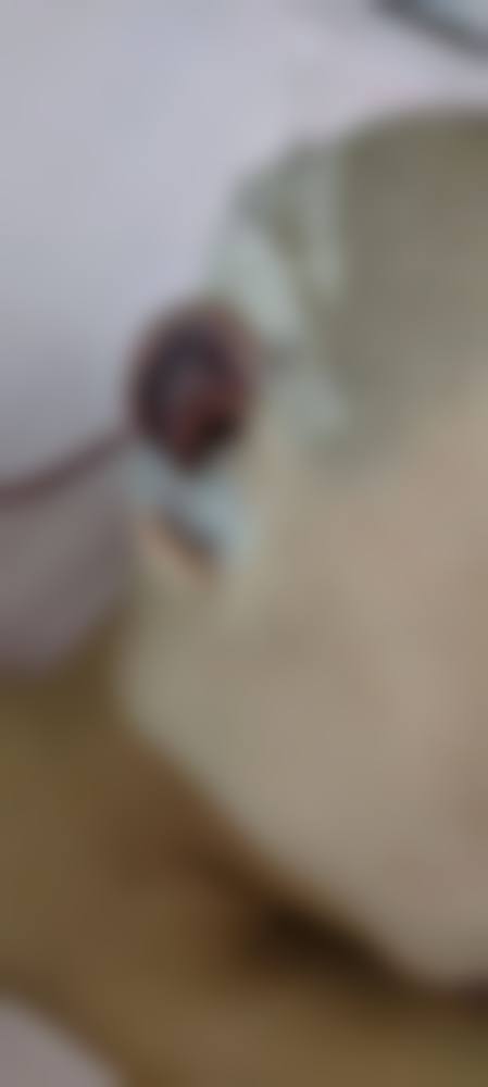 二、南京伊美莱医疗美容诊所正规吗？来看看医院资质：