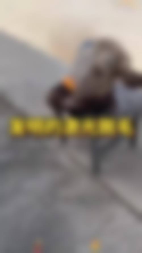 五、莆田薇美医疗美容门诊部实例