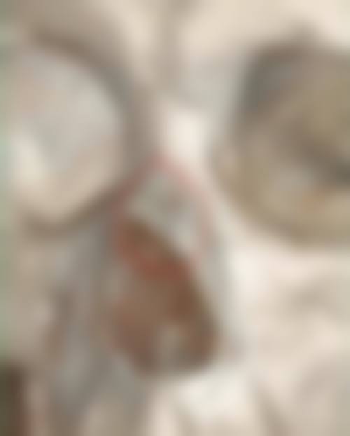 四、商城一美医疗美容诊所基本信息：