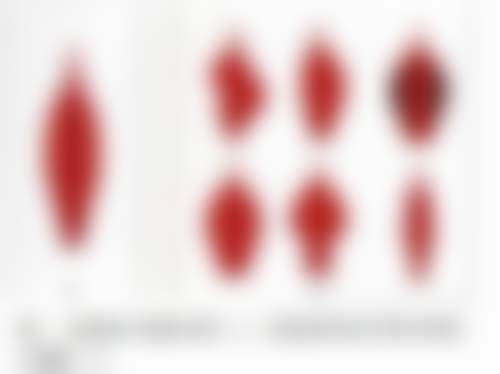 张严严医生在哪家医院怎么预约？