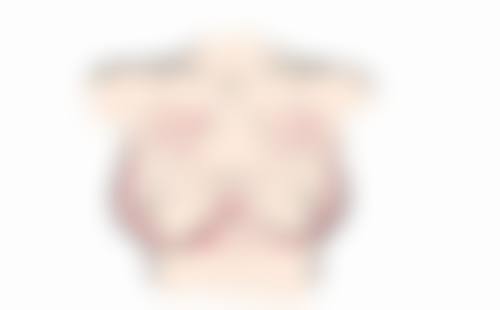四、孝感天妃整形基本信息: