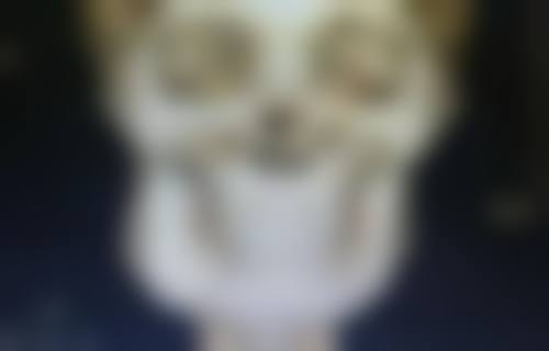 甲状腺手术疤痕怎么遮?日常护理不可少