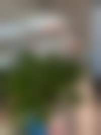 八、北京金燕子医疗美容诊所真实的顾客评价如下：
