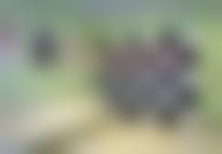 三、铁岭马晶美容整形门诊部基本信息: