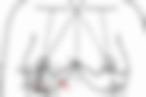 罗吉华医生实例