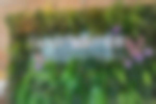 七、南昌红谷滩兰积医疗美容诊所价格表:(仅供参考)