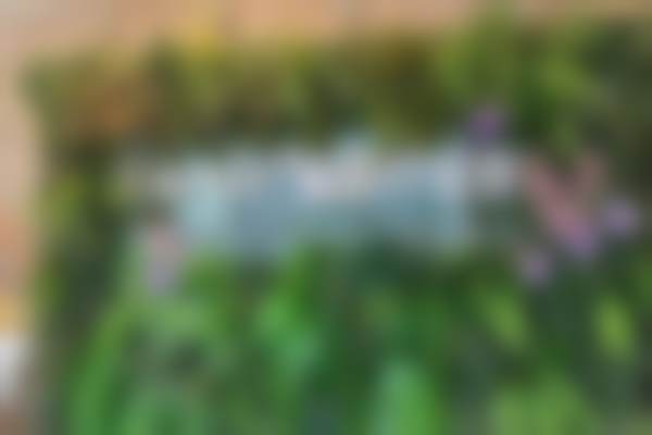 二、南昌红谷滩兰积医疗美容诊所正规吗?来看看医院资质: