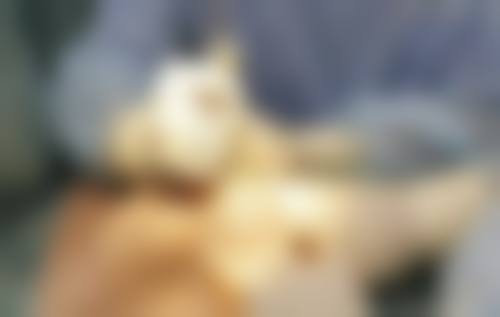 五、南京瑜雅医疗美容诊所实例