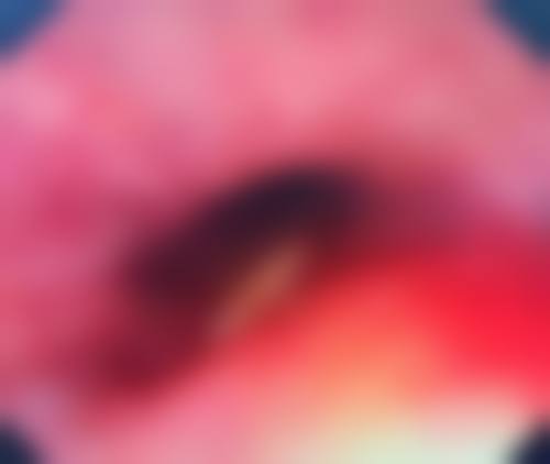 七、濮阳美上美医疗美容诊所价格表：（仅供参考）