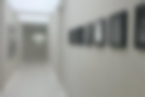 五、Leaders皮肤科实例