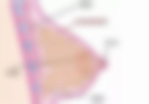 班燕欣医生实例